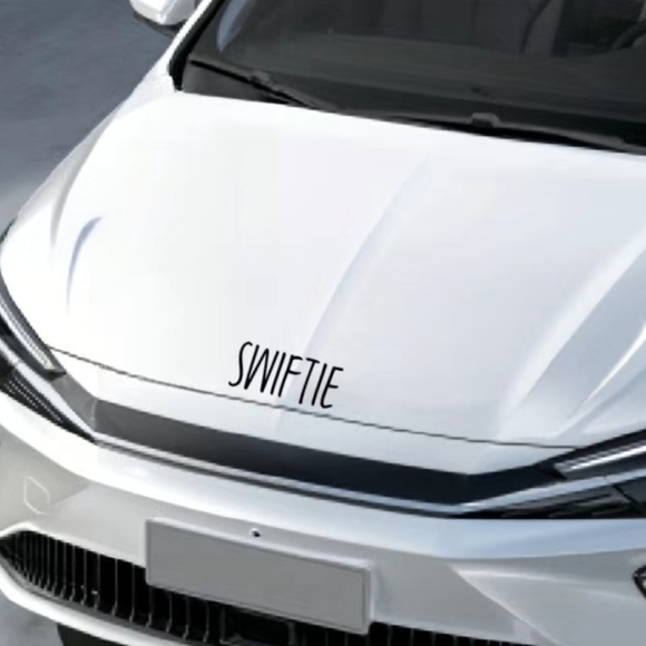 ๐5 for $25/ Swiftie Bumper Sticker/Car Decal - Picture 7 of 8